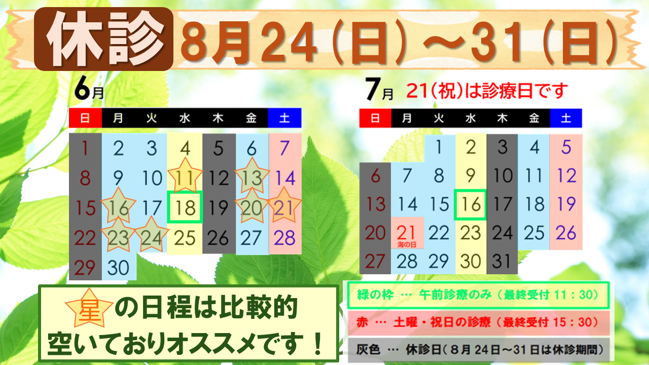 スケジュール