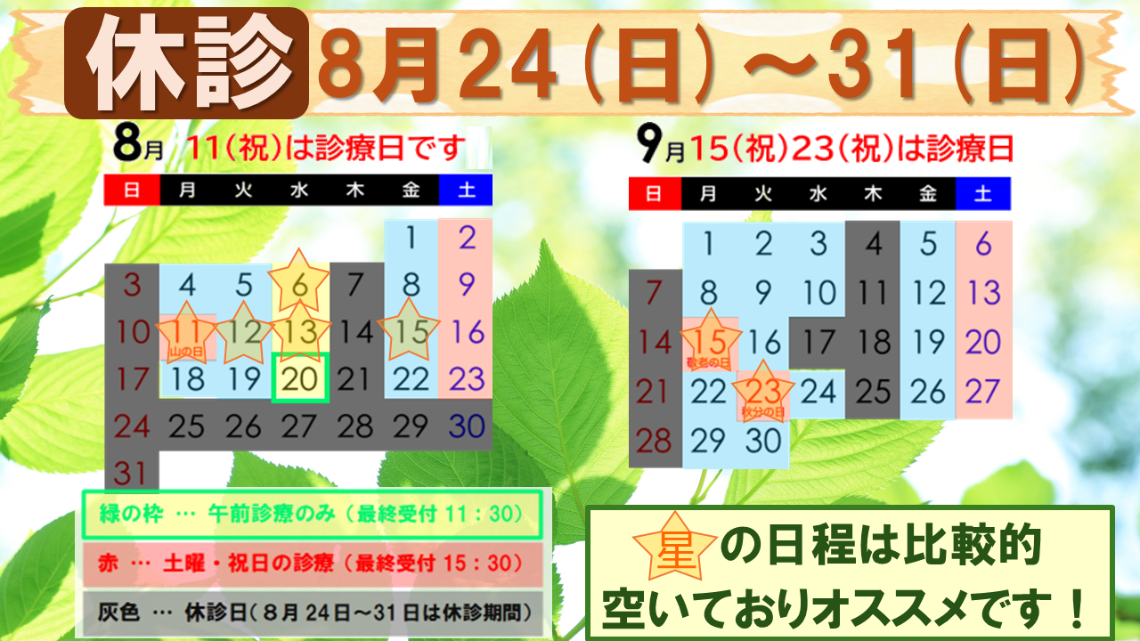 スケジュール