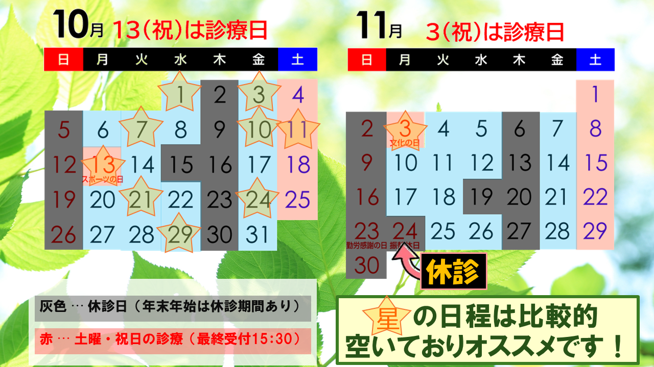 スケジュール