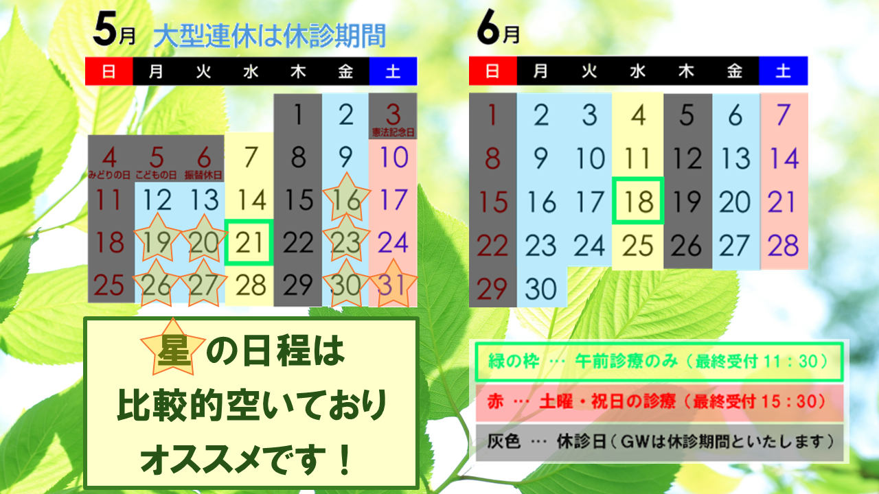 スケジュール